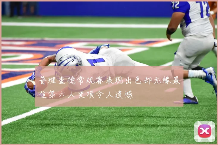 普理查德常规赛表现出色却无缘最佳第六人奖项令人遗憾