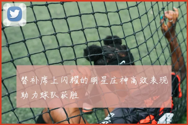 替补席上闪耀的明星庄神高效表现助力球队获胜